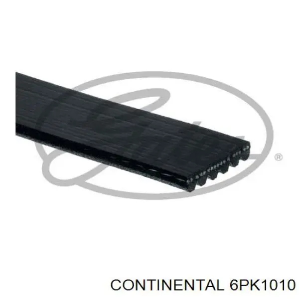 Купити 6PK1010 Continental/Siemens Ремінь генератора