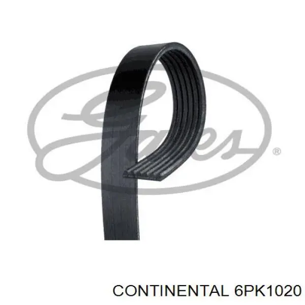 Купити 6PK1020 Continental/Siemens Ремінь генератора