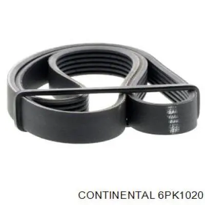 Клиновий ремінь Continental/Siemens 6PK1020 ціна, від 10.34 USD