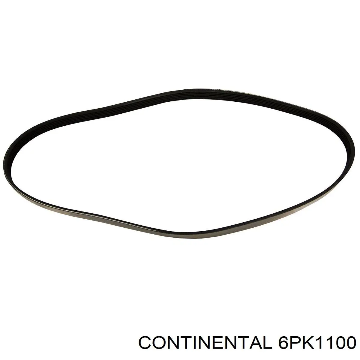 Купити 6PK1100 Continental/Siemens Ремінь генератора