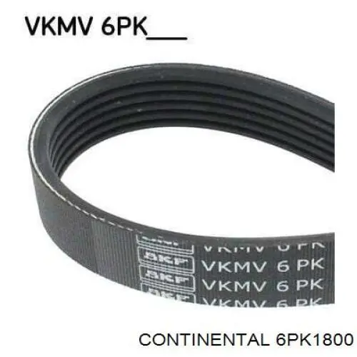 Клиновий ремінь Continental/Siemens 6PK1800 ціна, від 14.37 USD