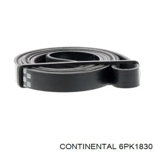 Купити 6PK1830 Continental/Siemens Ремінь генератора