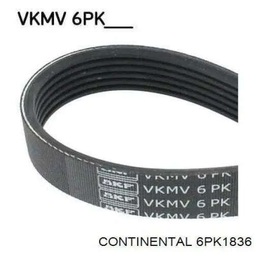 Купити 6PK1836 Continental/Siemens Ремінь генератора
