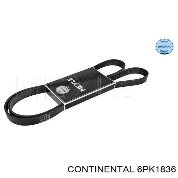 Ремінь генератора 6PK1836 Continental/Siemens