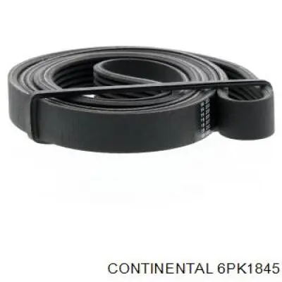 Купити 6PK1845 Continental/Siemens Ремінь генератора