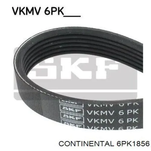 Клиновий ремінь Continental/Siemens 6PK1856 ціна, від 17.51 USD