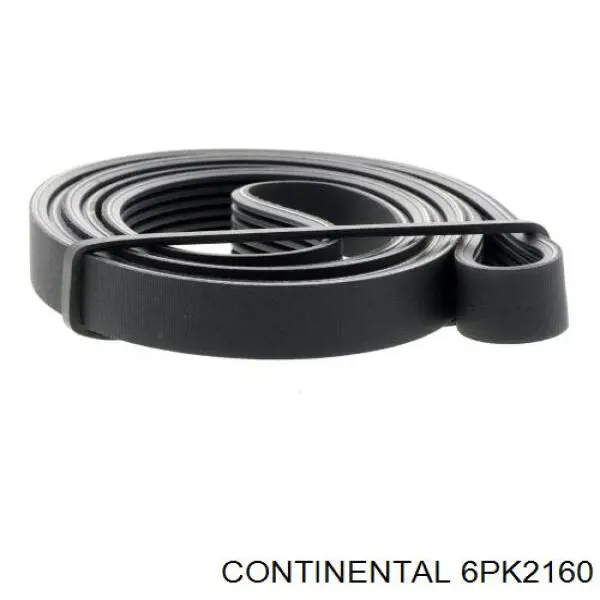 Клиновий ремінь Continental/Siemens 6PK2160 ціна, від 24.01 USD