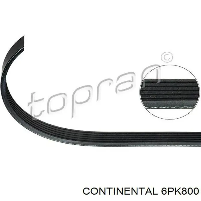 Купити 6PK800 Continental/Siemens Ремінь генератора