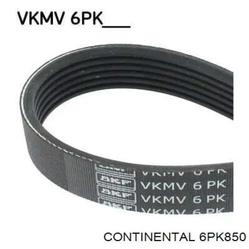 Купити 6PK850 Continental/Siemens Ремінь генератора