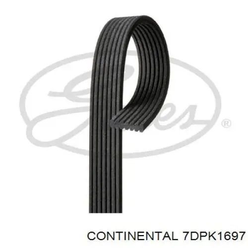 Клиновий ремінь Continental/Siemens 7DPK1697 ціна, від 39.56 USD