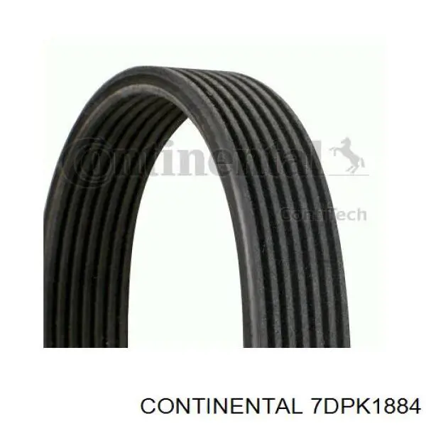 Купити 7DPK1884 Continental/Siemens Ремінь генератора