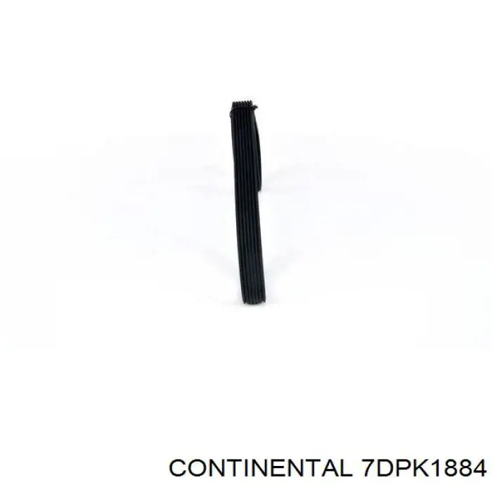 Клиновий ремінь Continental/Siemens 7DPK1884 ціна, від 45.42 USD