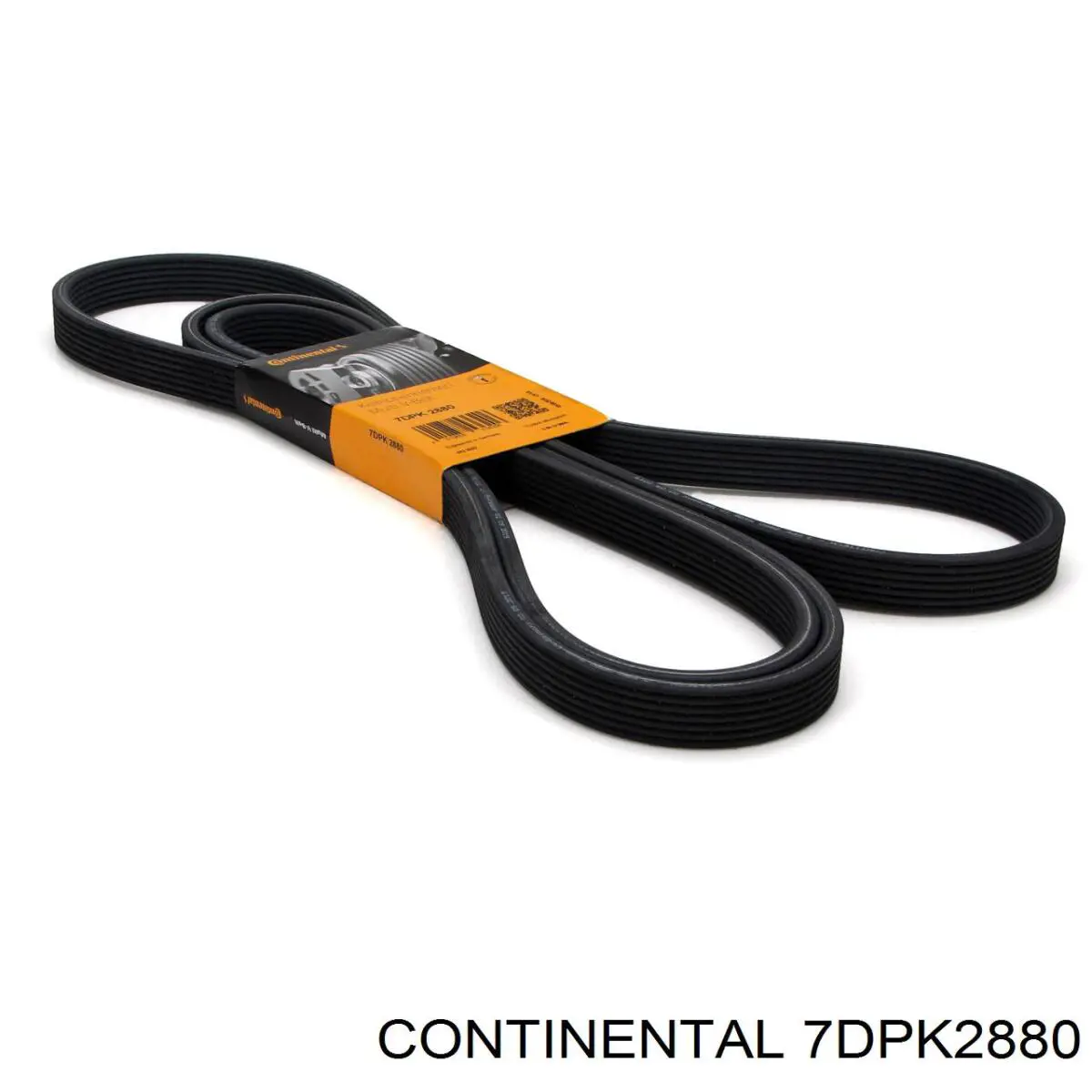 Клиновий ремінь Continental/Siemens 7DPK2880 ціна, від 62.58 USD