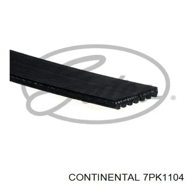 Ремінь генератора 7PK1104 Continental/Siemens