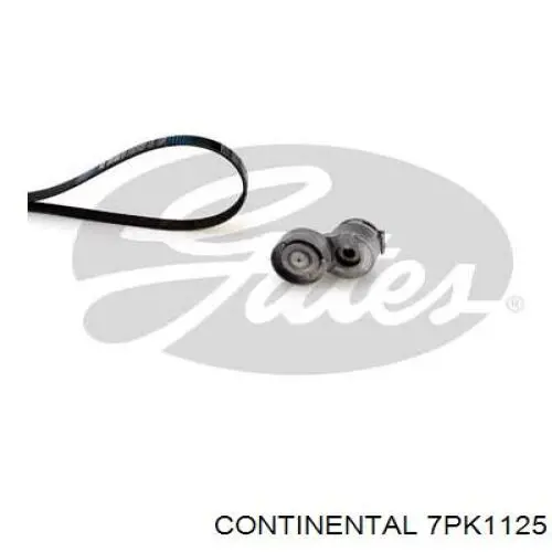 Ремінь генератора 7PK1125 Continental/Siemens