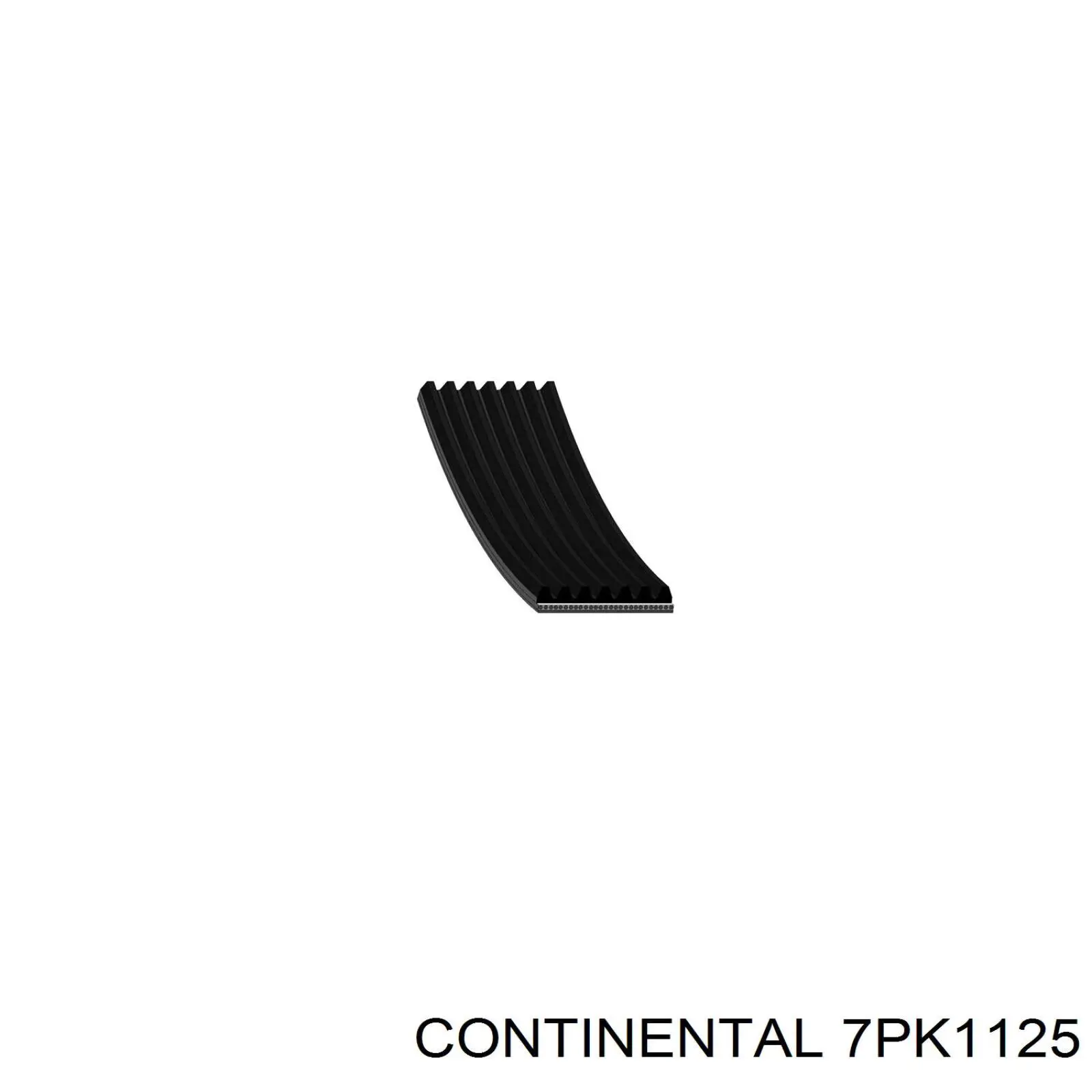 Купити 7PK1125 Continental/Siemens Ремінь генератора
