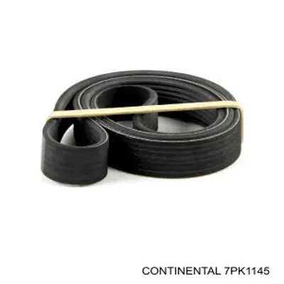 Купити 7PK1145 Continental/Siemens Ремінь генератора