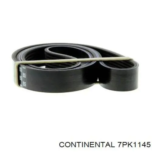 Клиновий ремінь Continental/Siemens 7PK1145 ціна, від 14.95 USD