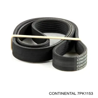 Купити 7PK1153 Continental/Siemens Ремінь генератора
