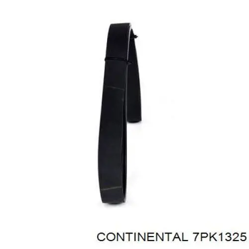 Клиновий ремінь Continental/Siemens 7PK1325 ціна, від 16.79 USD