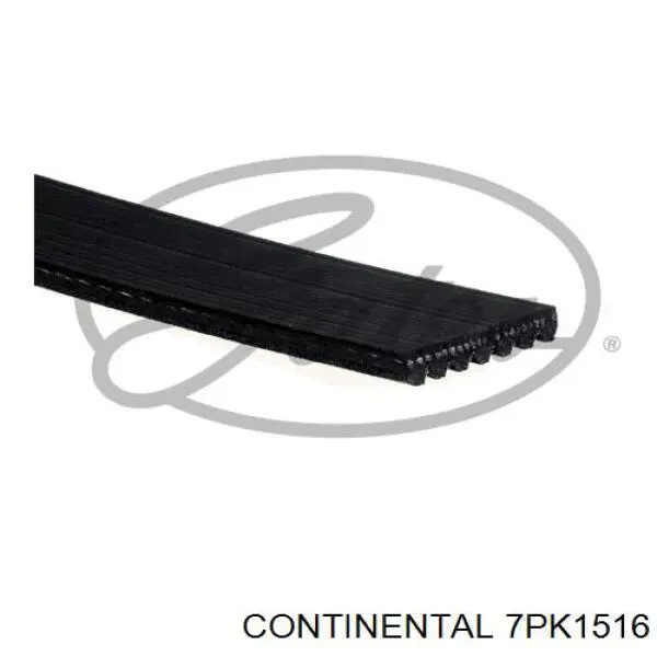 Клиновий ремінь Continental/Siemens 7PK1516 ціна, від 23.74 USD