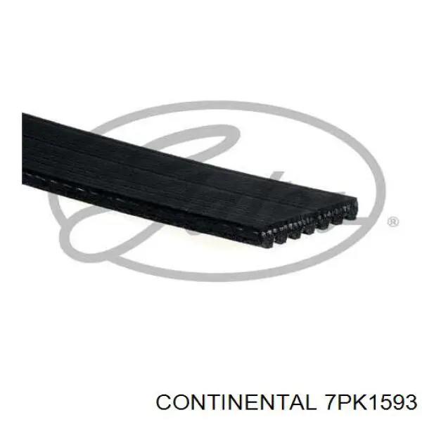 Купити 7PK1593 Continental/Siemens Ремінь генератора