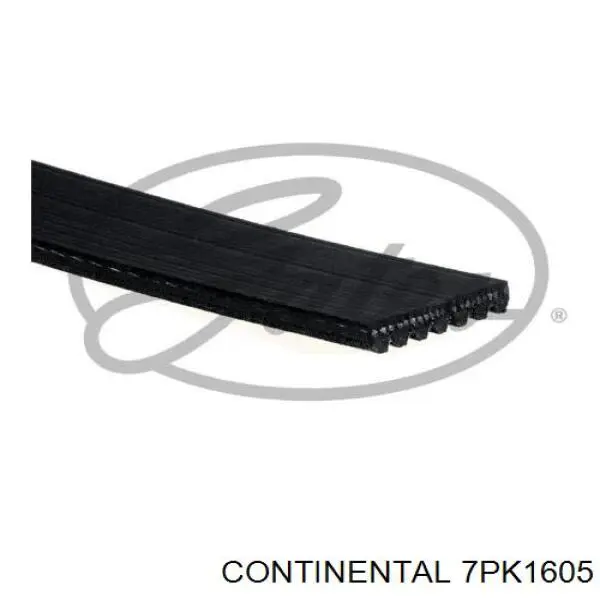 7PK1605 Continental/Siemens Поліклиновий ремінь