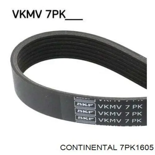 Клиновий ремінь Continental/Siemens 7PK1605 ціна, від 18.04 USD