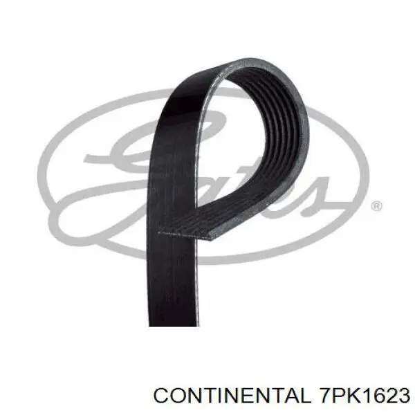 Клиновий ремінь Continental/Siemens 7PK1623 ціна, від 15.20 USD