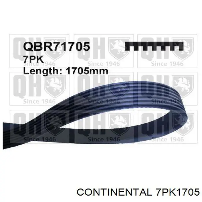 Купити 7PK1705 Continental/Siemens Ремінь генератора