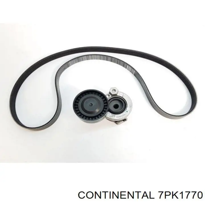 Клиновий ремінь Continental/Siemens 7PK1770 ціна, від 19.12 USD