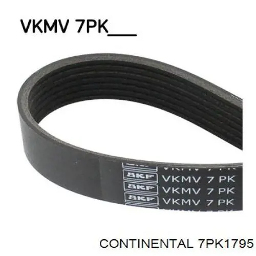 Купити 7PK1795 Continental/Siemens Ремінь генератора