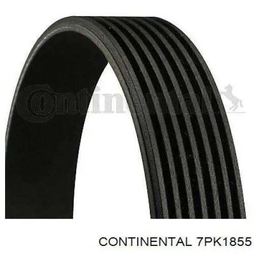 Купити 7PK1855 Continental/Siemens Ремінь генератора