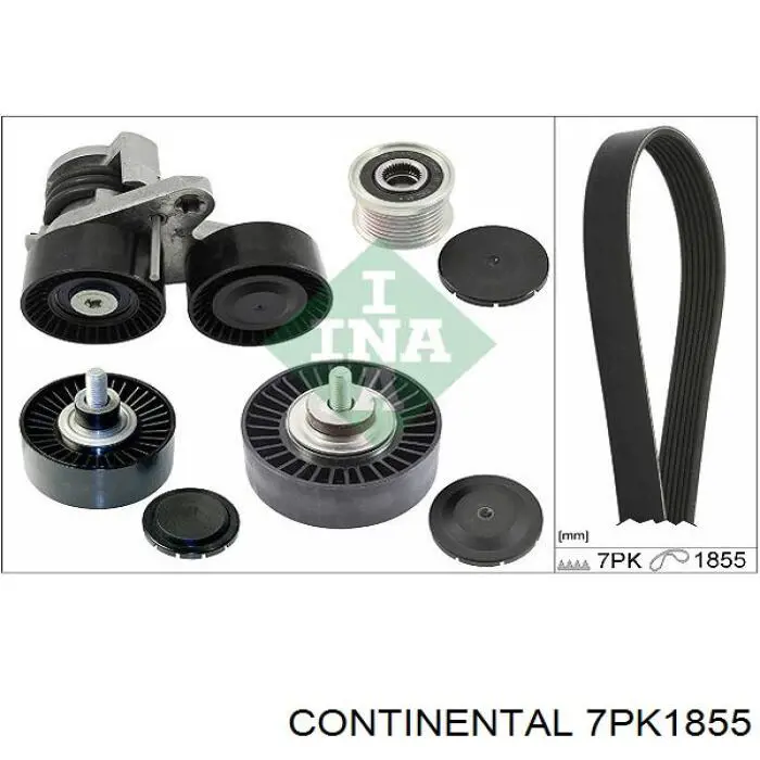 Клиновий ремінь Continental/Siemens 7PK1855 ціна, від 24.20 USD