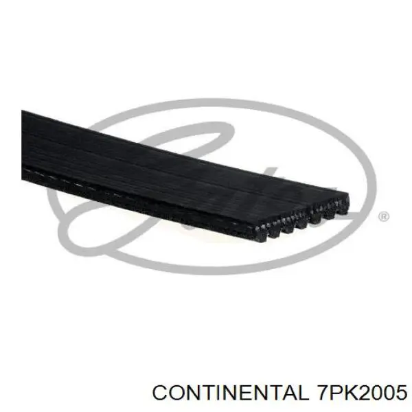 Клиновий ремінь Continental/Siemens 7PK2005 ціна, від 18.35 USD