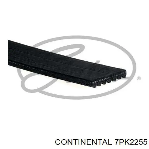 7PK2255 Continental/Siemens Поліклиновий ремінь