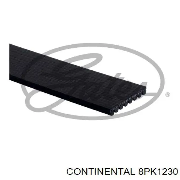 Ремінь генератора 8PK1230 Continental/Siemens