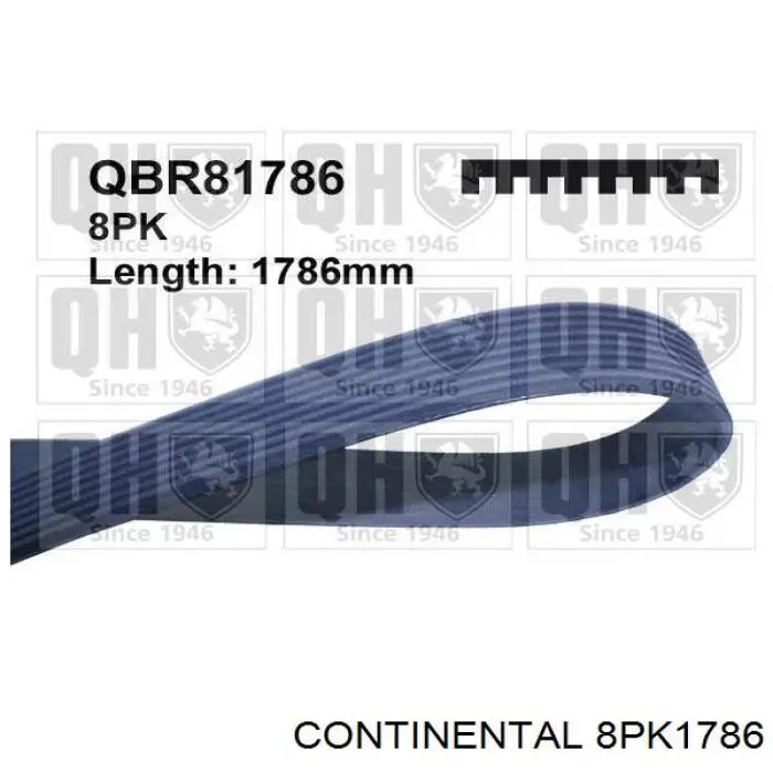 Ремінь генератора 8PK1786 Continental/Siemens