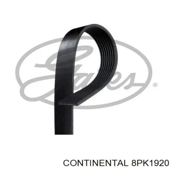 Купити 8PK1920 Continental/Siemens Ремінь генератора
