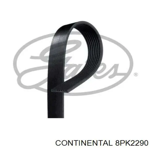 Купити 8PK2290 Continental/Siemens Ремінь генератора