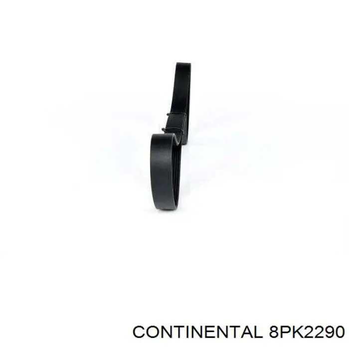 Клиновий ремінь Continental/Siemens 8PK2290 ціна, від 26.37 USD