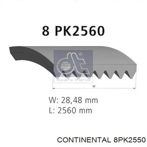 Ремінь генератора 8PK2550 Continental/Siemens