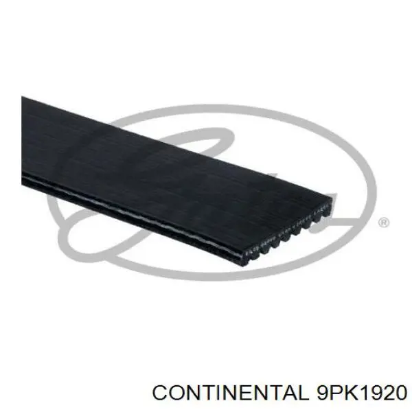 Клиновий ремінь Continental/Siemens 9PK1920 ціна, від 24.90 USD
