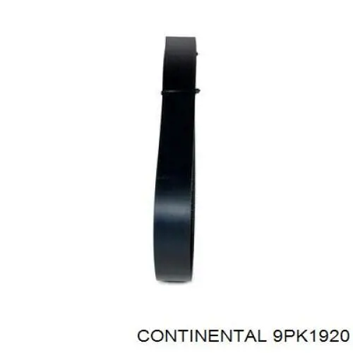 9PK1920 Continental/Siemens Поліклиновий ремінь