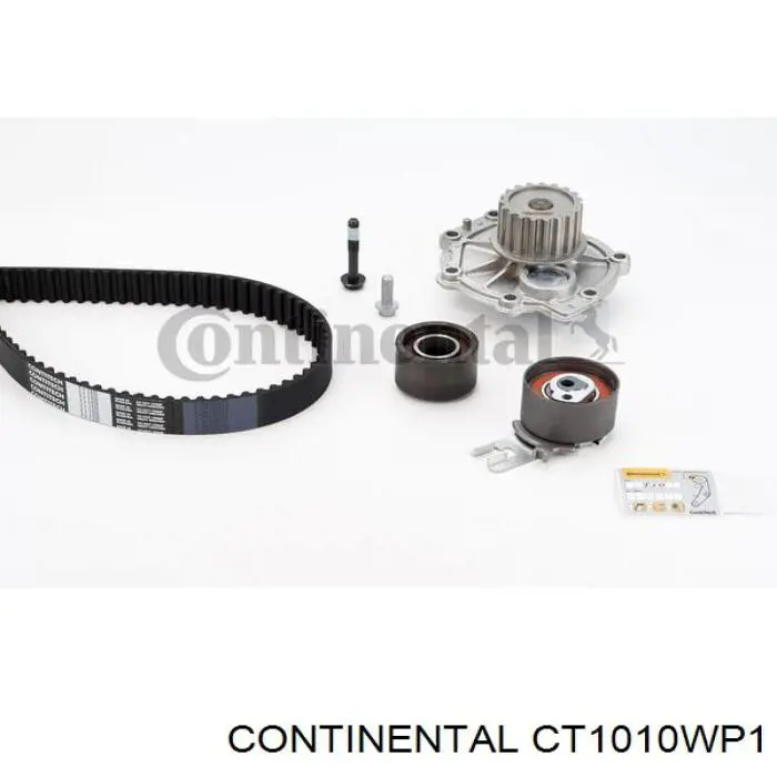 CT1010WP1 Continental/Siemens Ремінь ГРМ, комплект