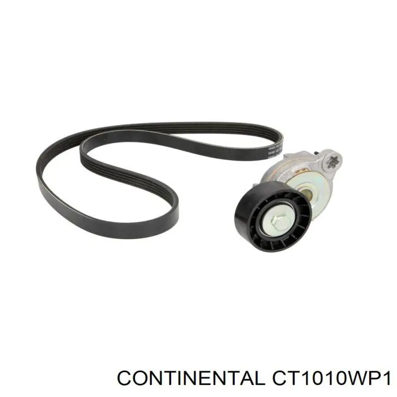Купити CT1010WP1 Continental/Siemens ГРМ ремень