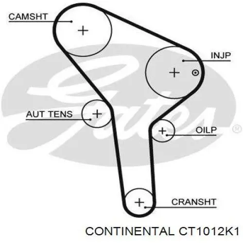 Комплект ГРМ CT1012K1 Continental/Siemens