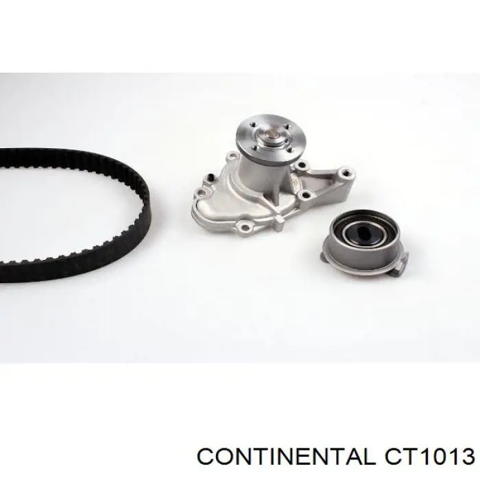 CT1013 Continental/Siemens Ремінь двигуна