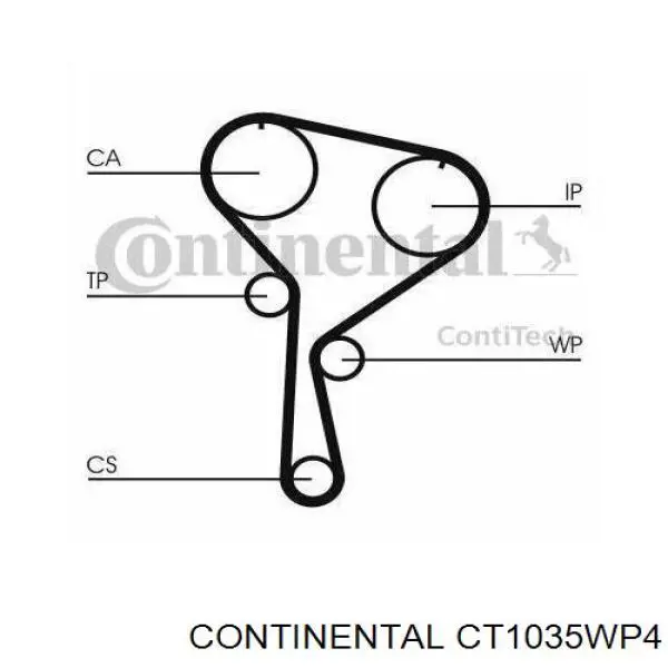 Купити CT1035WP4 Continental/Siemens ГРМ ремень