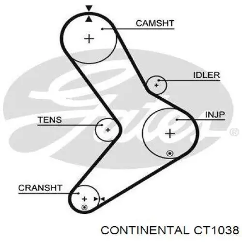 CT1038 Continental/Siemens ремінь грм